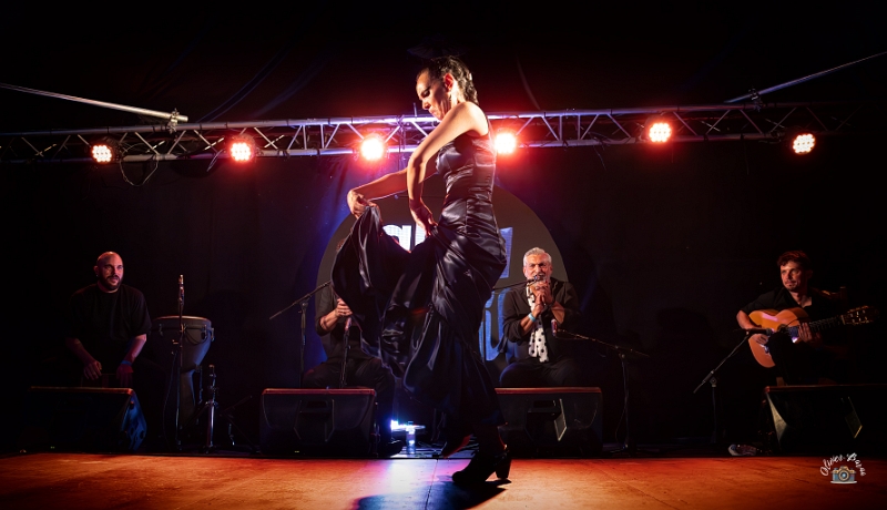 flamenco (128)